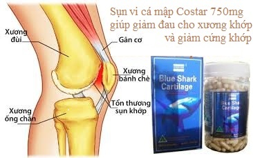 thuoc-shark-cartilage.jpg